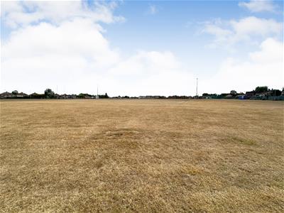 Picture 21